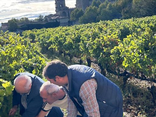El "regalo" del Gobierno de Navarra al sector vitivinícola en San Isidro