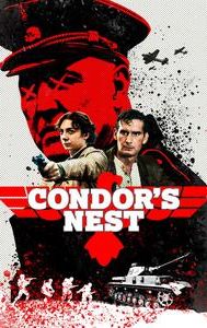 Condor's Nest