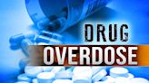 Tennessee has the second most fatal drug overdoses in the US - WDEF