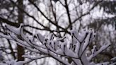 Winter storm warning stretches from New Mexico over Texas, Oklahoma and to the Midwest