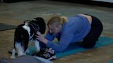 “It’s so fun to be able to bring your dog and do activities”: Howard brewery hosts dog yoga