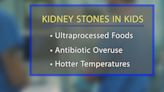 YOUR HEALTH: Kids and their battles with kidney stones
