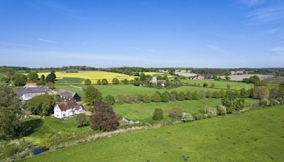 More farmland in Suffolk hits the market as BPS farm subsidy phased out, study finds