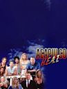 Acapulco H.E.A.T. (serie de televisión)