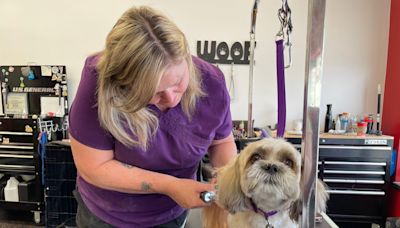 Urban Paws Pet Spa to hold grand opening for new location