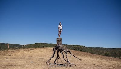 La naturaleza como lienzo, arte en vivo en el corazón de los Montes de Toledo