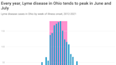 Tick season is here. Here's what to know