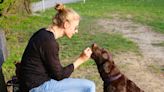 "Is you hungry, pupper?": Demystifying fur baby talk