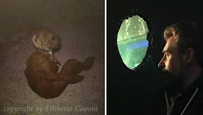 Esistono gli Ufo? Filiberto Caponi e la foto dell'E.T. dei Sibillini: lo straordinario caso al convegno del Cufom a Falconara