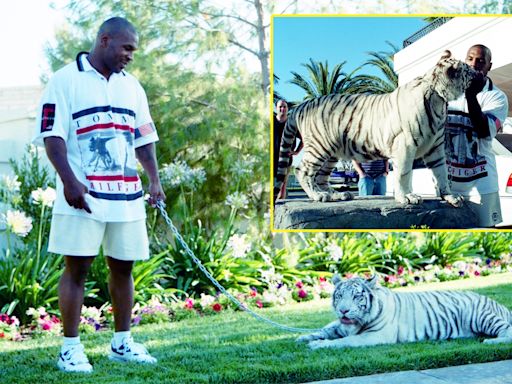 Mike Tyson paid $50,000 for his famous pet tiger that 'ripped someone's arm off'