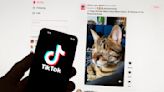 TikTok bows to European pressure and halts reward feature on new app in France and Spain