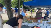 Milton is getting its own community market, based on Pace model