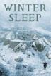 Winter Sleep (film)