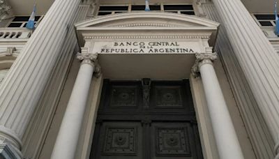 El Banco Central autorizó el pago de dividendos a extranjeros con Bopreal, el bono de los importadores