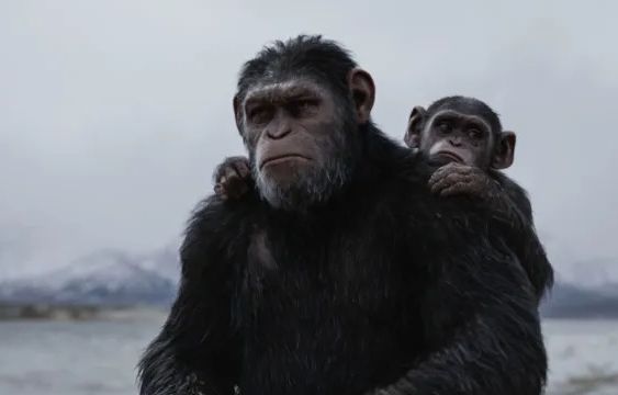 Kingdom of the Planet of the Apes: What Happened to Cornelius?