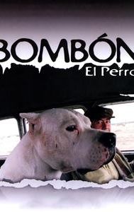 El perro