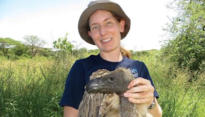 Why Vultures Need Our Protection