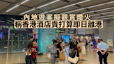 有內地旅客稱本港酒店價格貴打算即日離港 有旅客計劃觀賞煙火