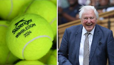 The real reason tennis balls are yellow and how Sir David Attenborough was involved