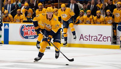 Where Newly Signed Parssinen & Del Gaizo Fit Into the Predators Plans This Season