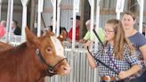 Livingston County Agricultural Fair entries surpassing pre-pandemic numbers