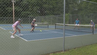 Pickleball court controversy: locals call for court removal over excess noise