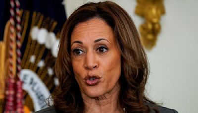 US needs president who prioritizes border security: Harris to say at US-Mexico border