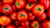 NCCF to sell subsidised tomatoes at Rs 60/kg in Delhi-NCR from Monday