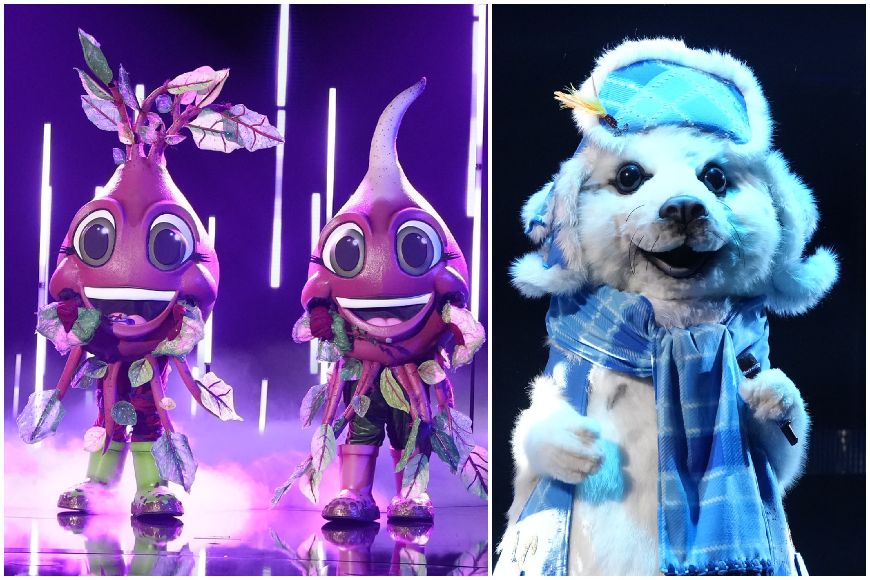 ‘The Masked Singer’ Reveals Identities of the Seal and Beets: Here Are the Celebrities Under the Costumes