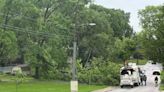 Recent rain & wind blamed for tree onto power lines in south Springfield