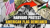 Harvard Student Protestors Fly Palestinian Flag Over American Flag Spot, Netizens Fume|Oneindia News