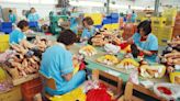 Los enemigos del sector del juguete: la baja natalidad y la falta de control sobre los productos que llegan de Asia