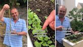 Gardener shares easy and free hack for warding off hungry snails and slugs: ‘Nature’s barbed wire’