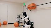 Thank goodness, Tesla's humanoid robot Optimus can now squat and pick up an egg