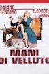 Mani di velluto