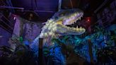 Ya fuimos al Parque Jurásico de CDMX, esto es lo que encontrarás en Jurassic World: The Exhibition