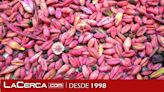 Aprose destaca el avance del uso de semilla certificada en los últimos diez años en España, que supone ya más del 30%