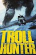 The Troll Hunter