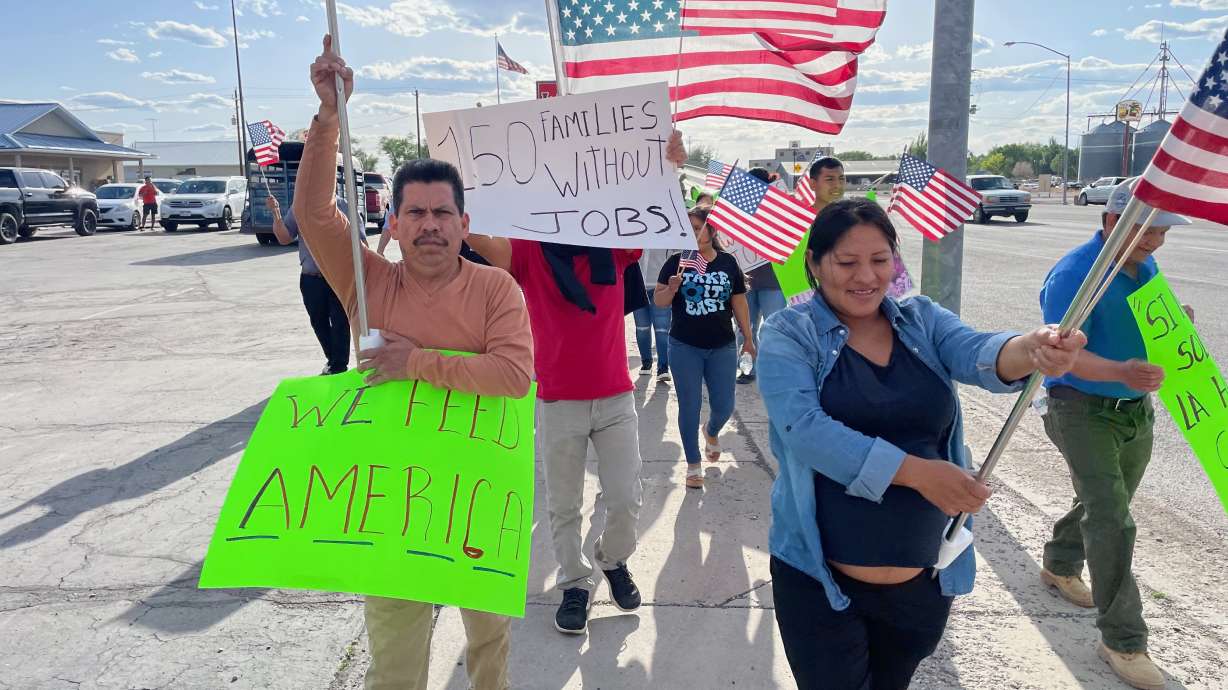 Migrant workers at Delta egg plant decry abrupt loss of jobs; advocates defend labor force