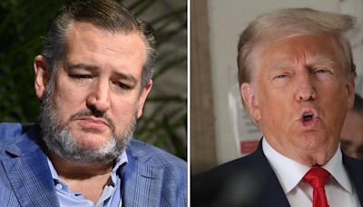 'He Coordinated It': Kaitlan Collins Grills Ted Cruz Over Supporting Donald Trump Despite Previous Attacks Against...