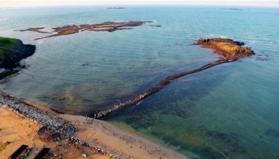 澎湖國際海上花火節登場 航海王限定活動週週開跑 - 生活