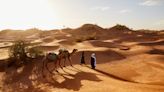 Dubai’s Hidden Oasis: Meet Al Marmoom Desert Reserve