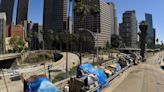 Newsom wants voters to OK his new plan to get mentally ill homeless people off the streets