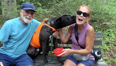 Dog days are fun days on trips away from the shelter with volunteers