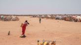Malnutrition, animal attacks on the rise as Horn of Africa experiences severe drought