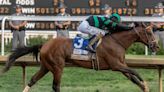 Watch: Kentucky Derby ends with photo finish