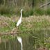 Huntsville State Park