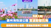 廣州旅遊｜廣州海珠湖公園賞波斯菊！花海佔地17萬呎、免費入場 遠眺廣州塔小蠻腰＋登遊船賞兩岸打卡靚景