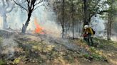 Multiple prescribed burns taking place this week