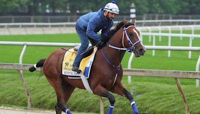 Rain dance? Wet track on Mystik Dan's Preakness wish list